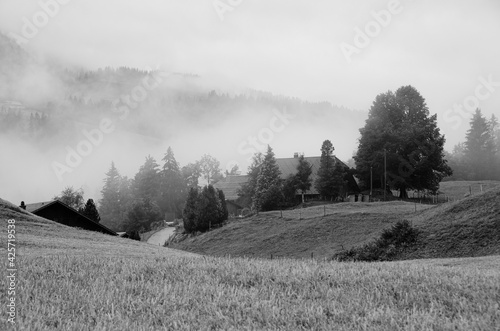 Bild auf Leinwand Nebel und Regen in den Hügeln vom Emmental