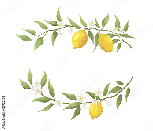 Summer card with lemon branch. Design elements with flowers and fruits, vector illustration, background.
