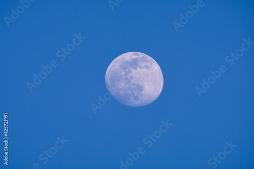 Moon in the daytime clear sky