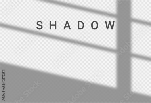 Shadow light overlay window wall scene mockup. Shadow transparent background