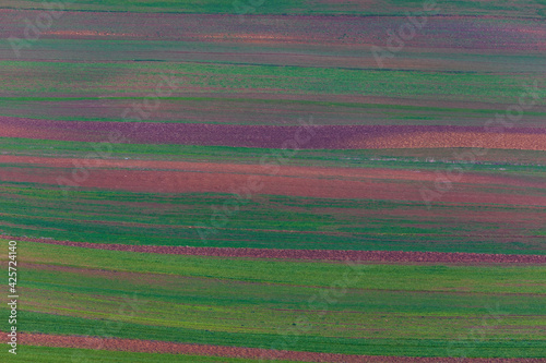 Plowed fields in spring wit...
