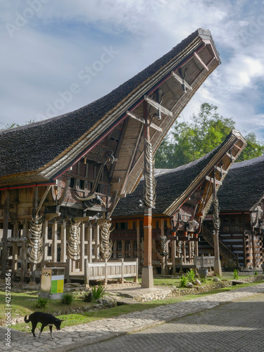 View of beautiful traditional tongkonan houses in Kete Kesu village, near Rantepao, Tana Toraja, South Sulawesi, Indonesia