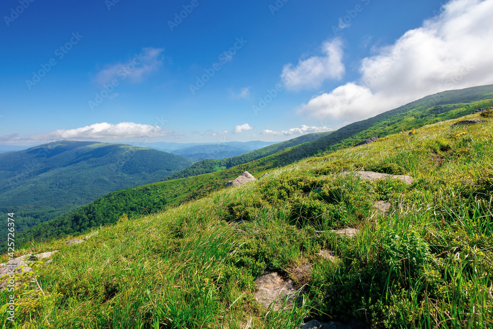mountain meadow on a sunny morning. cloud rolling above the hill with rocks among the grass. warm summer weather. beauty of carpathian landscape in green and blue mountain meadow on a sunny morning. cloud rolling above the hill with rocks among the grass. warm summer weather. beauty of carpathian landscape in green and blue