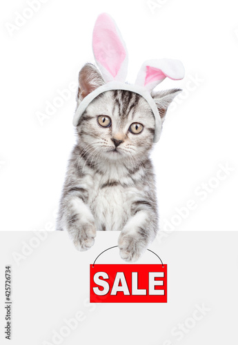 Tabby kitten wearing easter rabbits ears holds sales symbol behind empty white banner. Isolated on white background