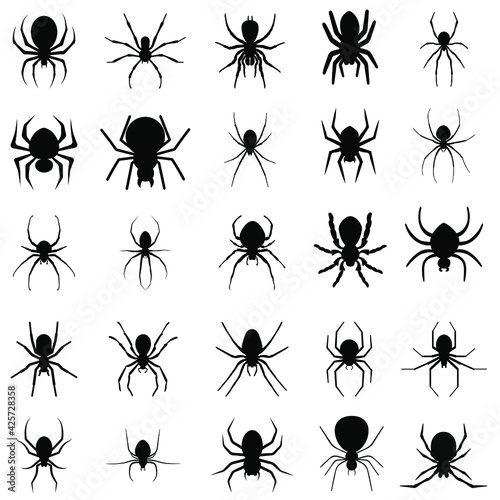 Spider vector icon set. insect illustration sign collection. halloween symbol. cobweb logo. © Denys