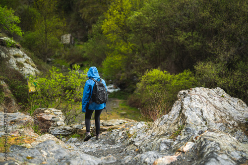 girl walking on the mountain while raining with vegetation