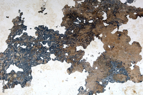 Peeling floor with fungi, texture background. © Flatman vector 24