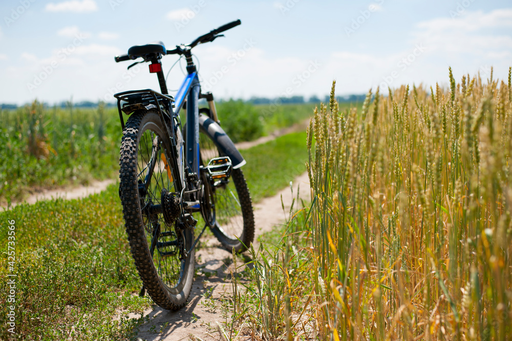 bike stands on the road in the field. A mountain bike stands on a field path with green grass. Mountain bike. wheat field, sunny day. ride a bike. focus on the rear wheel bike stands on the road in the field. A mountain bike stands on a field path with green grass. Mountain bike. wheat field, sunny day. ride a bike. focus on the rear wheel