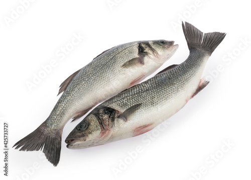 sea bass fish isolated on white background