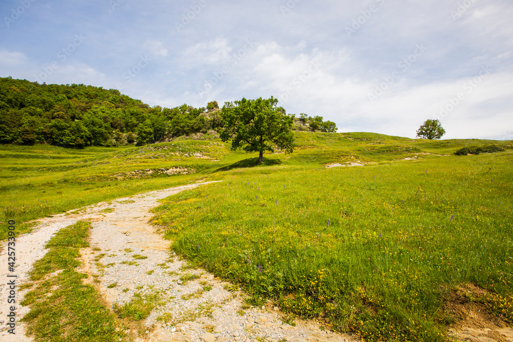 Spring landscape in Falgars D En Bas, La Garrotxa, Spain