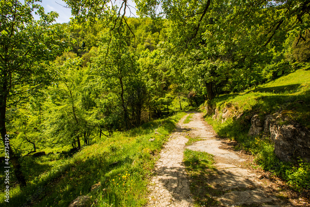 Spring landscape in Falgars D En Bas, La Garrotxa, Spain Spring landscape in Falgars D En Bas, La Garrotxa, Spain