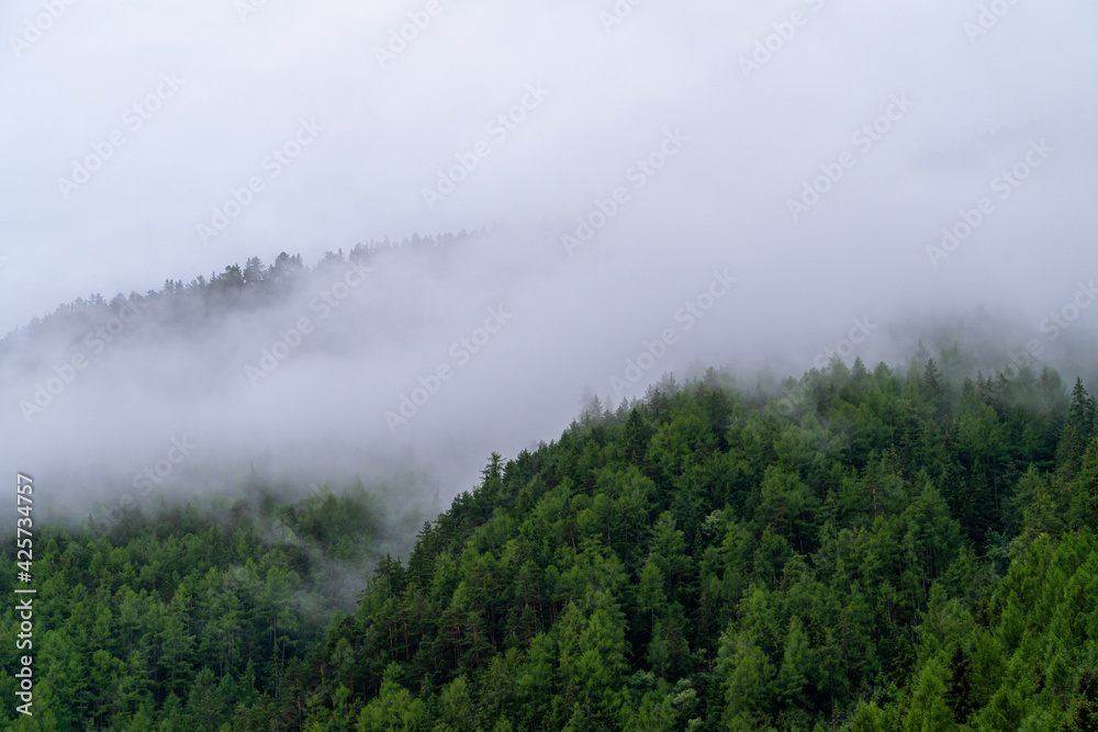 Clouds in a mountain forest