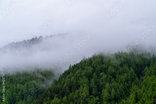 Clouds in a mountain forest © Thomas A. Feller