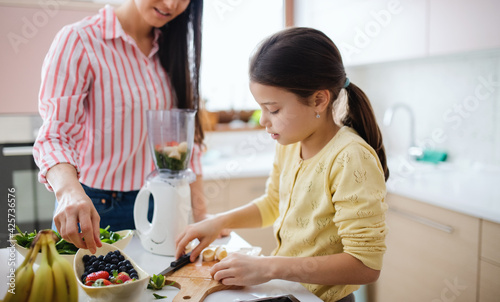 Mother with daughter indoors at home  preparing fruit smoothie drink.