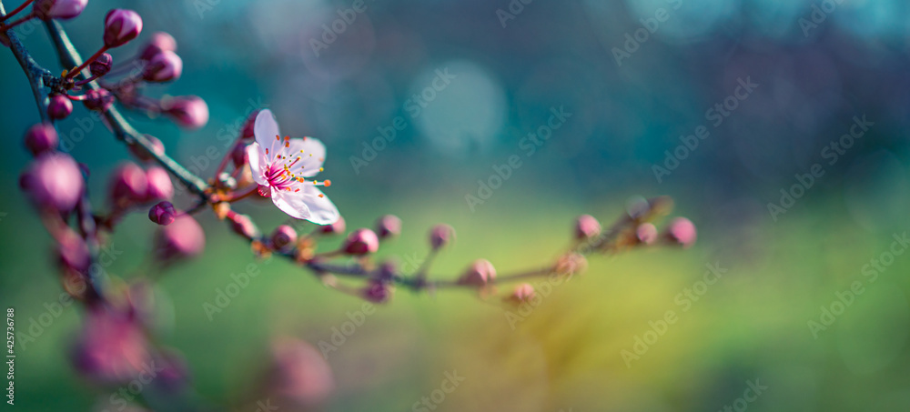 Spring border or background art template with spring pink blossom. Beautiful nature scene with blooming tree and sun flare. Idyllic springtime nature closeup, romantic flowers soft texture