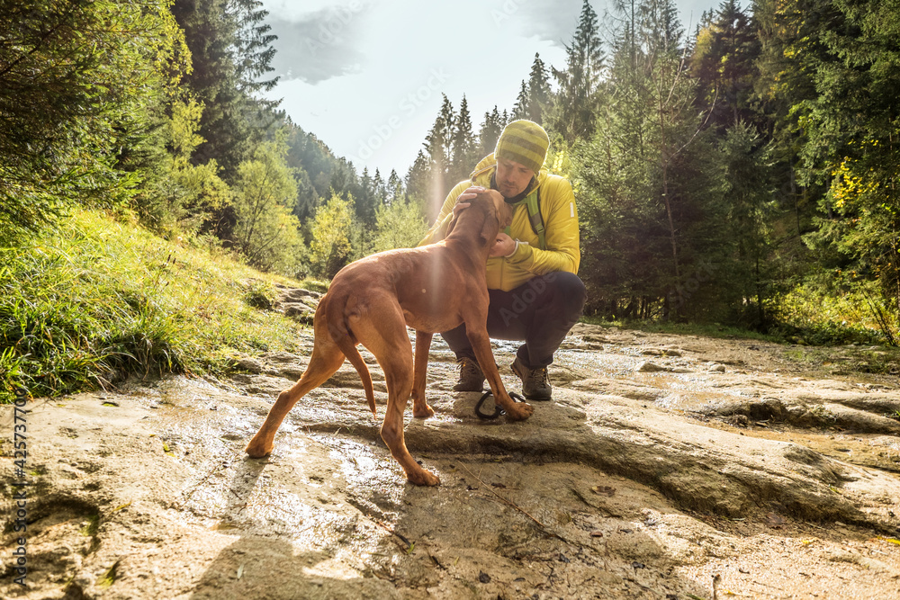 Traveler Man trekker with him dog walk around mountains in sunny day. Backpacker walking in Outdoors. Health care, authenticity, sense of balance and calmness. Traveler Man trekker with him dog walk around mountains in sunny day. Backpacker walking in Outdoors. Health care, authenticity, sense of balance and calmness.