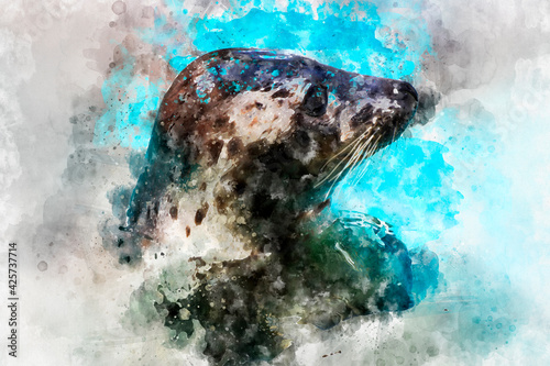 Watercolor, seal resting in the sun in the water
