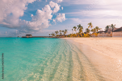 Fototapeta Naklejka Na Ścianę i Meble -  Beautiful beach with palm trees and moody sky. Summer vacation travel holiday background concept. Maldives paradise beach. Luxury travel summer holiday background concept.