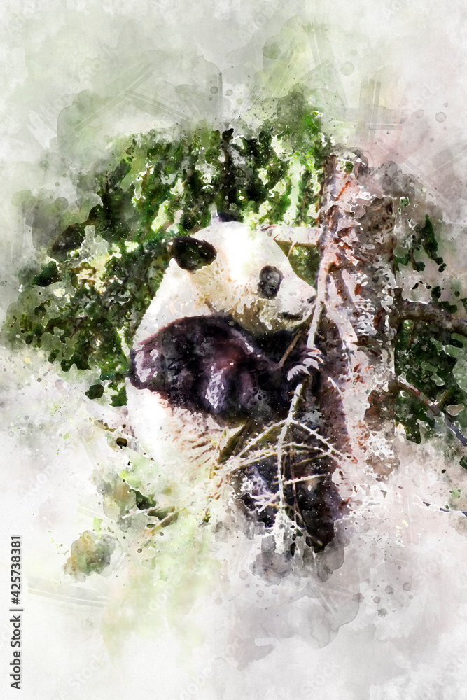 watercolor, Beautiful breeding panda bear playing in a tree