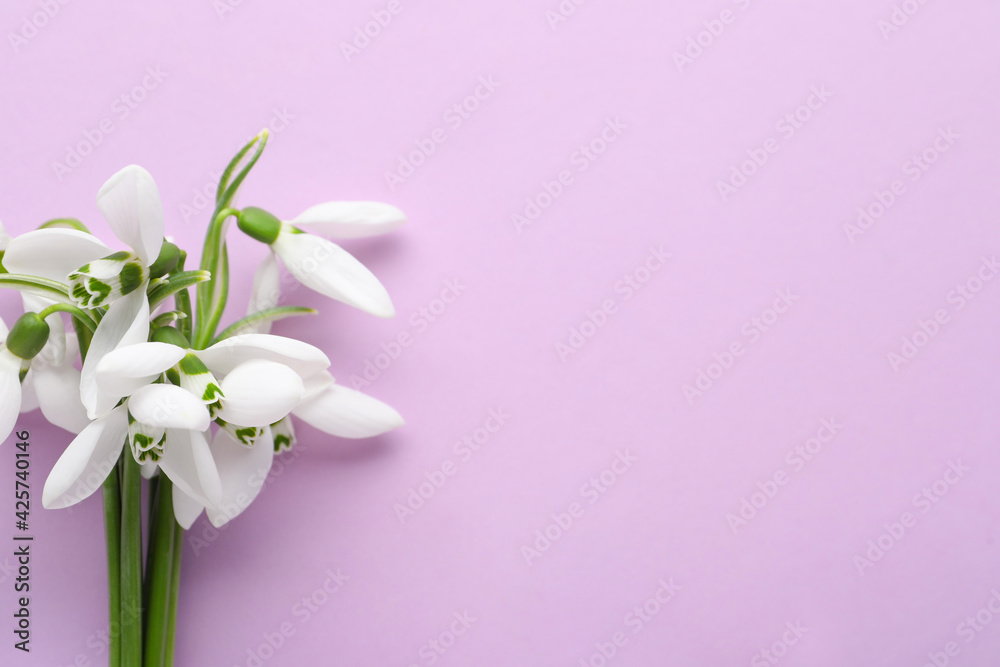Beautiful snowdrops on lilac background, top view. Space for text