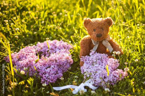 Foto Teddy bear with flower. Summer bouquet