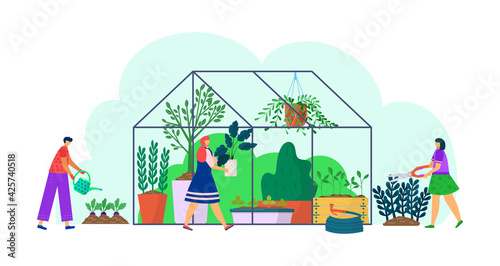 Plant grow in greenhouse, garden nature at building, vector illustration. Car...
