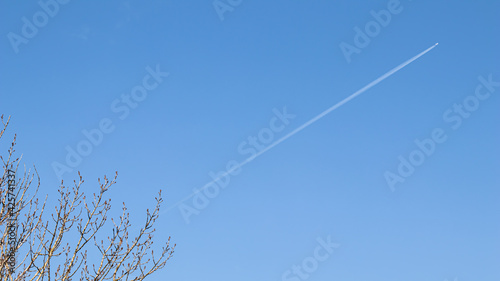 Blue sky background with flying plane and tree branches in early spring.