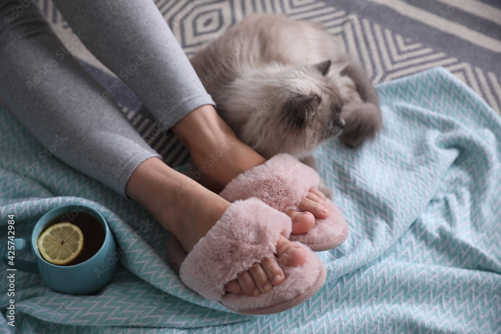 Woman in stylish soft slippers resting with cup of tea cute cat at home, closeup Woman in stylish soft slippers resting with cup of tea cute cat at home, closeup