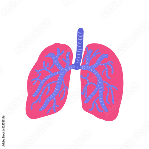 Vector illustration of the lungs and trachea. Light on a white background is isolated 