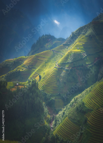 Rice fields on terraced with wooden pavilion on blue sky background in Mu Cang Chai, YenBai, Vietnam.