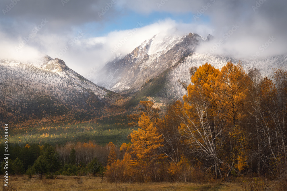 Wealth of autumn colour. Ulyun, the Barguzin Valley, Buryatia, Russia