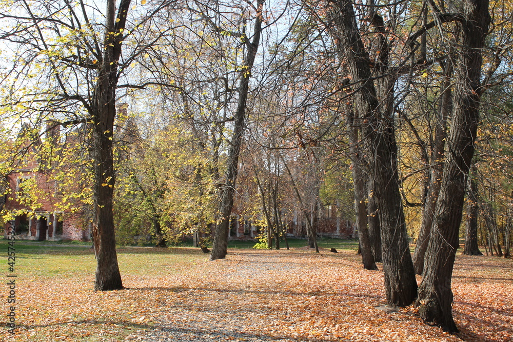 Naklejka premium Россия, Нижегородская область, село Ветошкино, усадьба Пашковых.