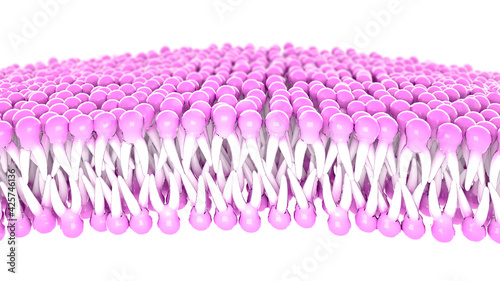 Structure of the plasma membrane of a cell. Lipids and fats viewed under a microscope. 3d render