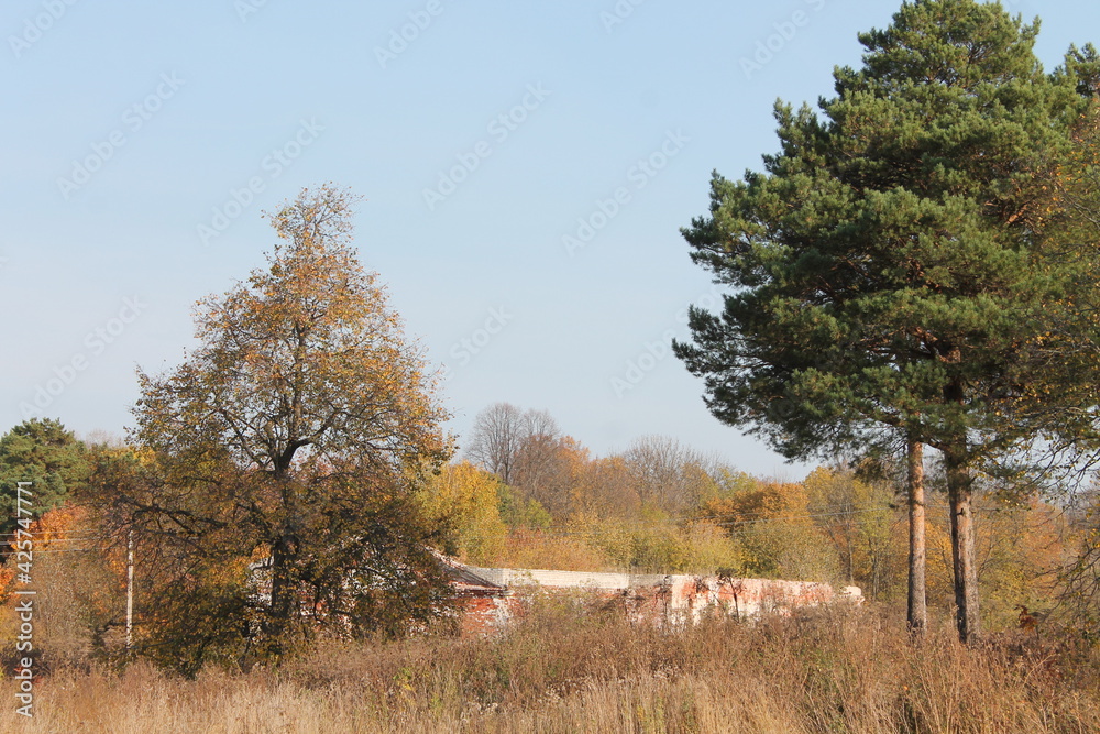 Obraz premium Нижегородская область, Россия, Ветошкино, усадьба Пашковых.