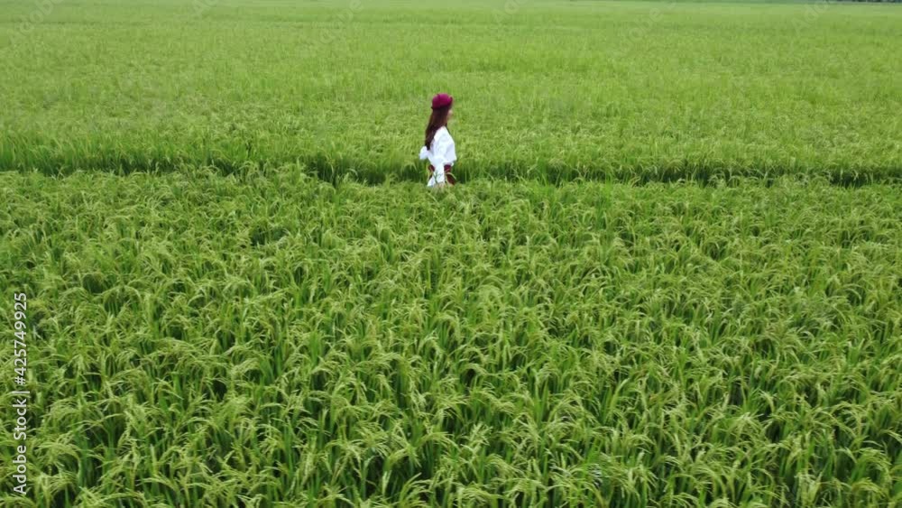 Young woman relaxing in summer and hand touching a ripe rice in the countryside farm. Young woman relaxing in summer and hand touching a ripe rice in the countryside farm.