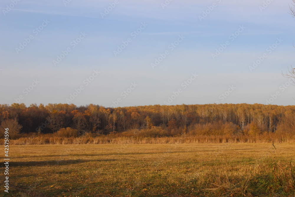 Nizhny Novgorod region, Russia, Krasnaya Glinka. Nizhny Novgorod region, Russia, Krasnaya Glinka.