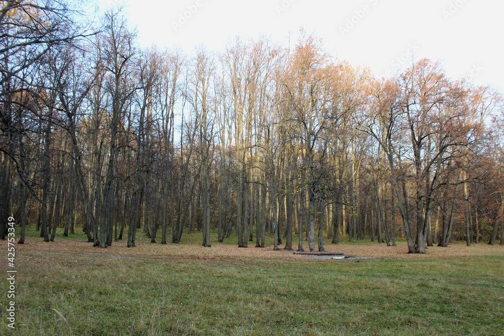 Nizhny Novgorod region, Russia, Krasnaya Glinka.