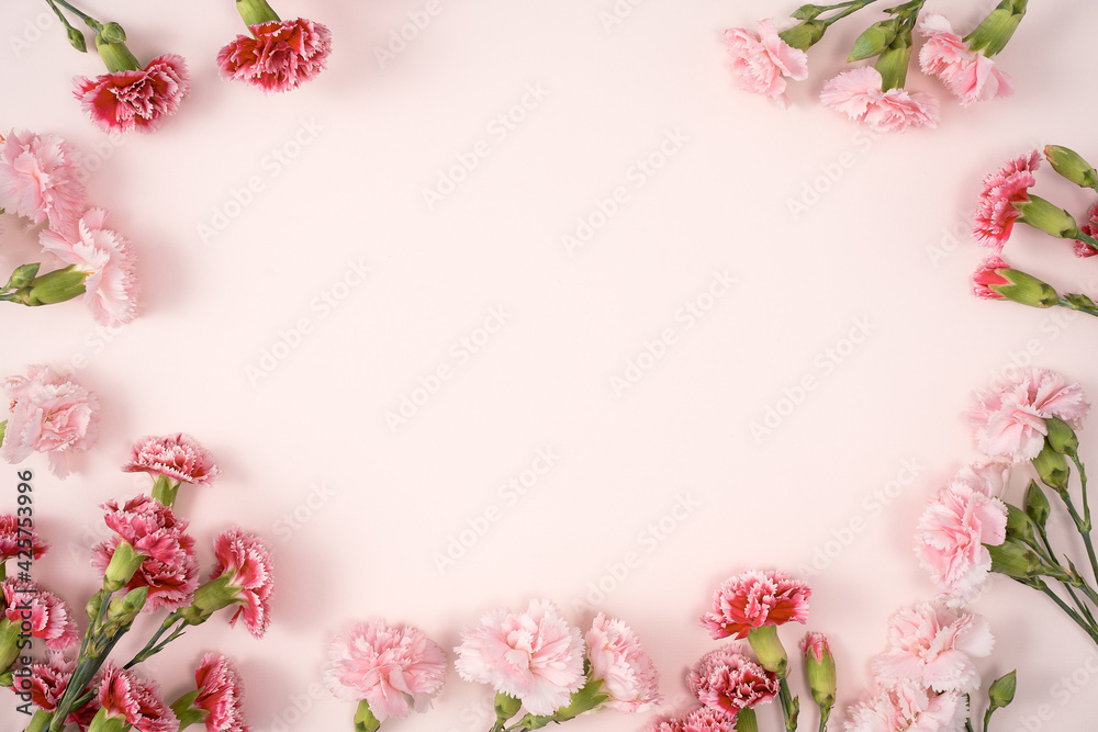 Fototapeta Design concept of Mother's day holiday greeting with carnation bouquet on pink table background