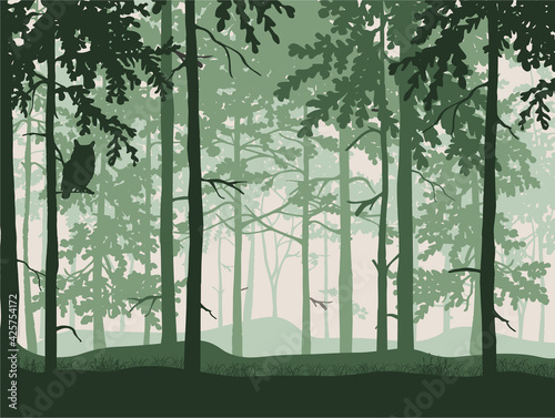 Forest background  silhouettes of trees  owl on branch. Magical misty landscape. Green illustration.