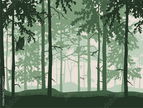 Forest background, silhouettes of trees, owl on branch. Magical misty landscape. Green illustration.