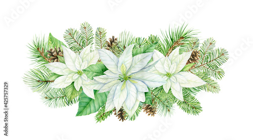 Watercolor christmas bouquet with white poinsettia flowers. Botanical illustration isolated on white background. Perfect for cards, invitations, template
