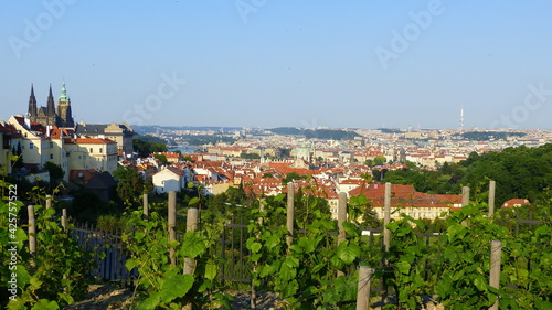 Blick auf Prag mit Burg und Veitsdom, Tschechien
