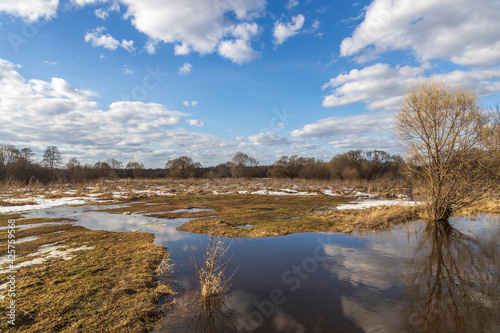 Spring flood  the river overflowed its banks. Sunny spring day. High water level in the river. Rural landscape in early spring. Clouds and trees are reflected in the water.