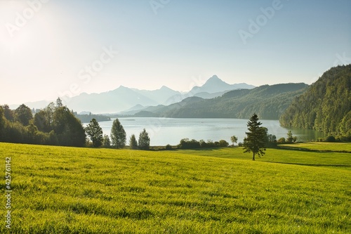 a large green field with a lake and mountains in the background