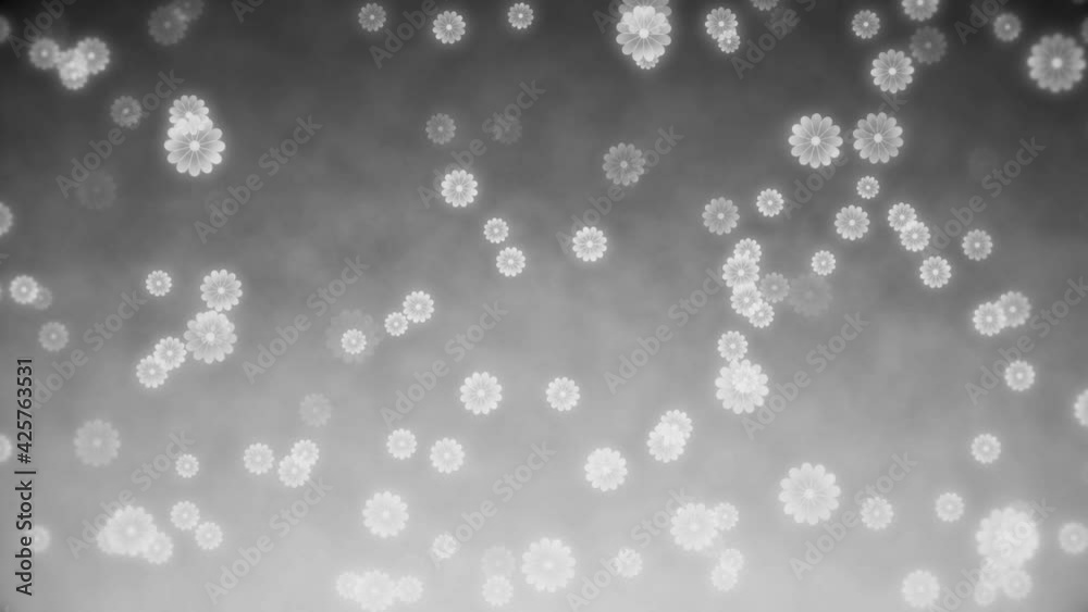 background loop flower background loop flower