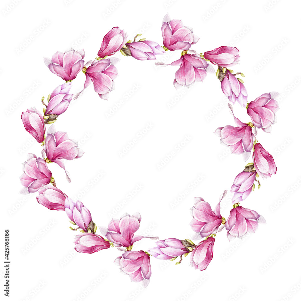 Magnolia pink flower wreath. Watercolor illustration. Tender magnolia flowers frame. Round blossom decoration. Elegant wreath of spring blossoms. On white background