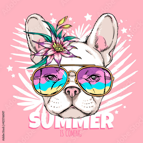 Cute french bulldog head in sunglasses. Summer is coming illustration. Stylish image for printing on any surface