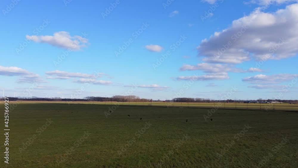 Simple fly-over Dutch grass land Simple fly-over Dutch grass land