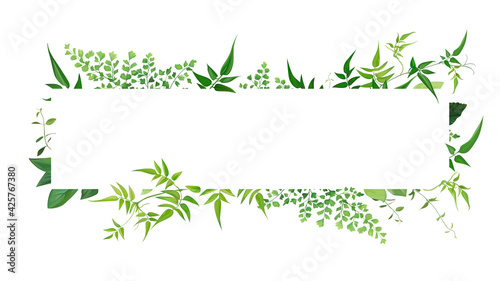 Fresh natural greenery leaves, branches, jasmine vine, forest fern, herb botanical border, frame, text space. Vector editable watercolor art illustration. Poster, banner, wedding invite, greeting card