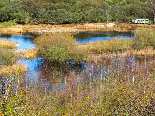 Wetland habitat at Fairburn Ings, West Yorkshire, England
